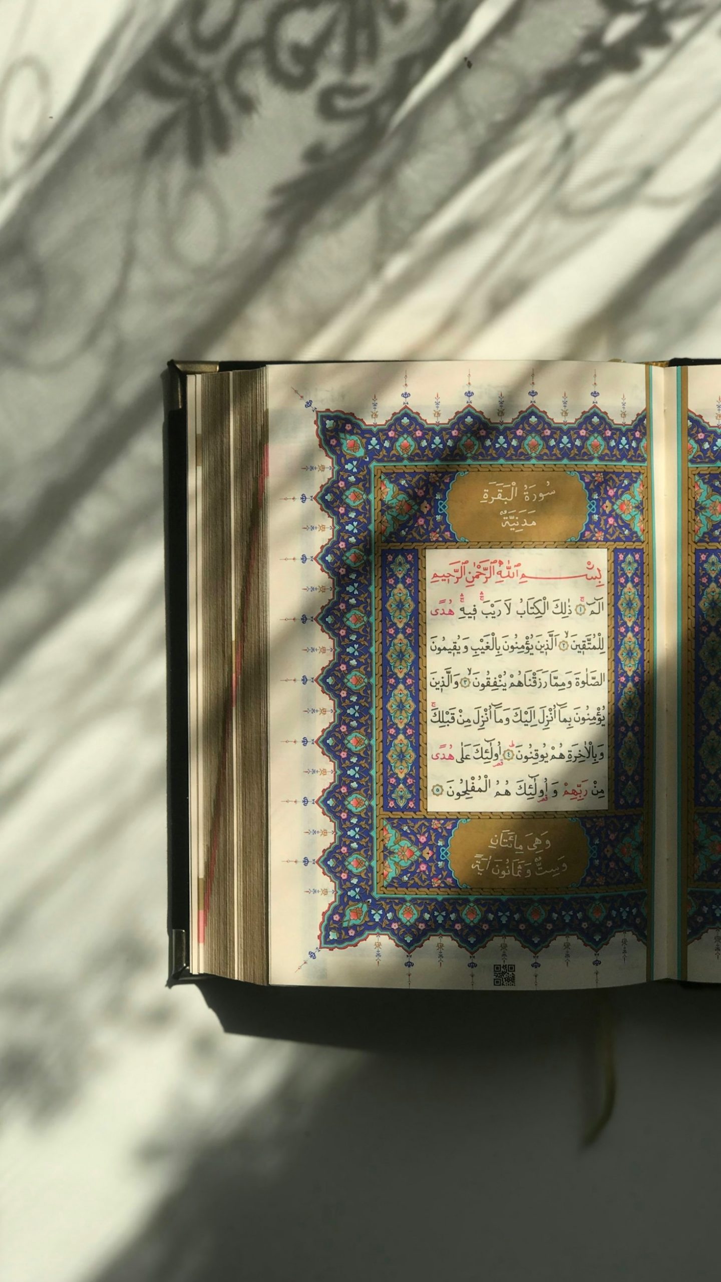 Die Rolle der Vorfahren in der Überlieferung der Kairo Tarikat